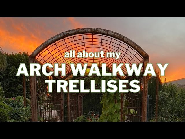 My ARCH TRELLISES: what I LOVE - and what I'd CHANGE
