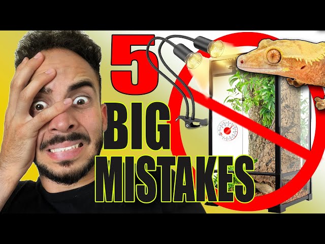 5 Alarming Mistakes New Crested Gecko Owner Make!