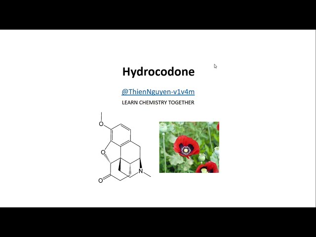 Hydrocodone: A potent semi-synthetic opioid