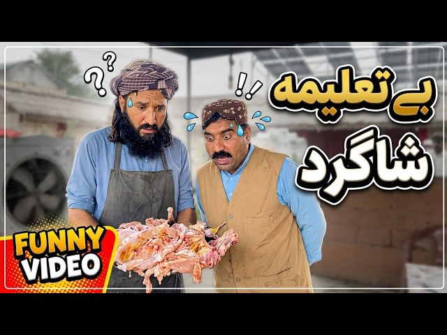 Be Taleema Shagard | Pashto Funny Video | Pashto Comedy Video By BD Vines 2026 #bdvines 