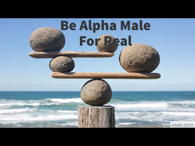Be Alpha Male For Real (EXCERPT)