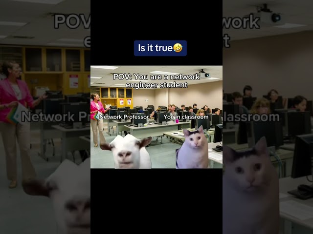Uh? Network Engineer Student nightmare 🤣 can you relate⁉️ #networkengineer #cisconetworking  #ccna