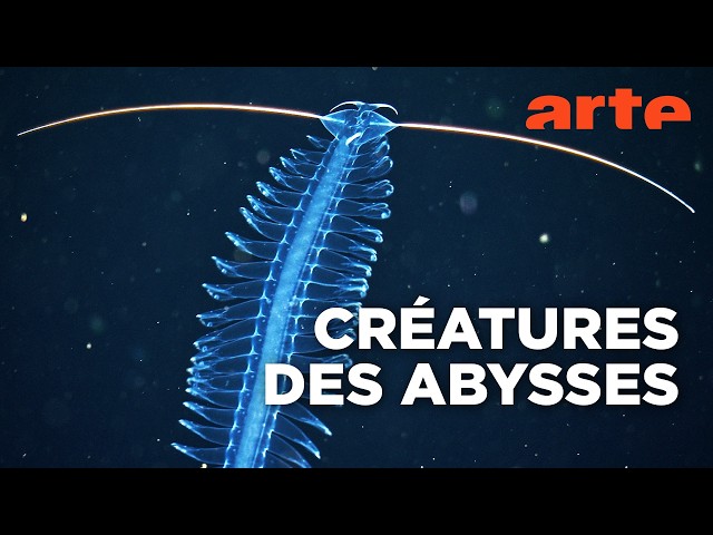 Abysses, la face cachée des océans | Documentaire | ARTE