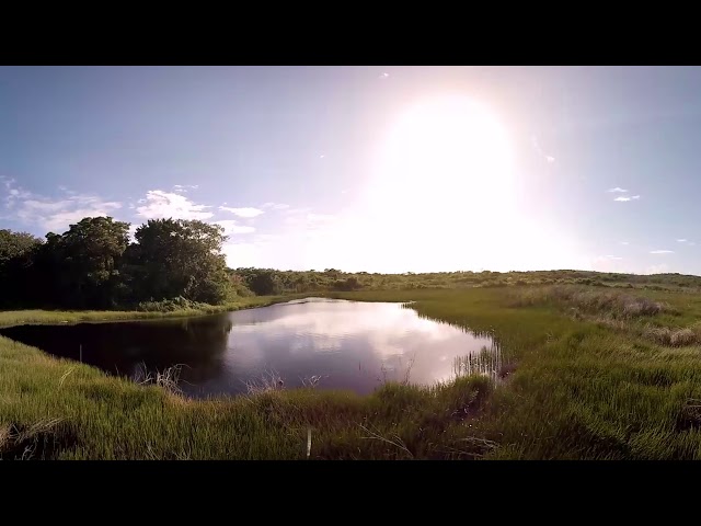 Vuelo 360° por una aguada en Calakmul