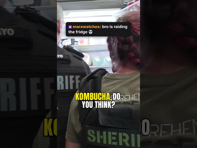 Fridge Raid