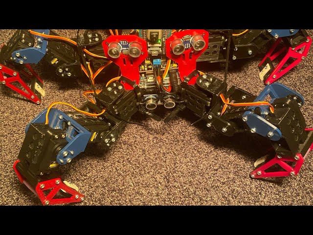 Autonomous Hexapod 4K60