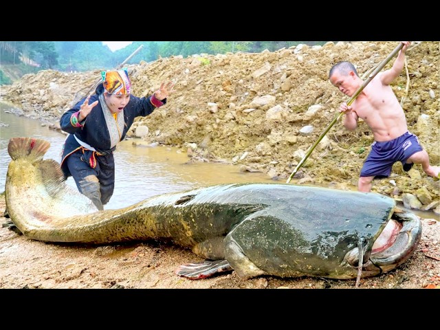 Wild Encounters: Dwarf Family's Python Attack, Beehive and Stone Fish Traps
