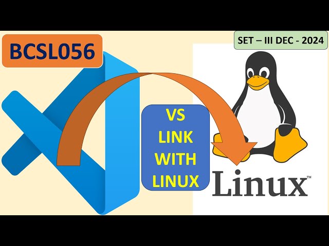 UDP Socket Programming | Server & Client Connection BCSL056
