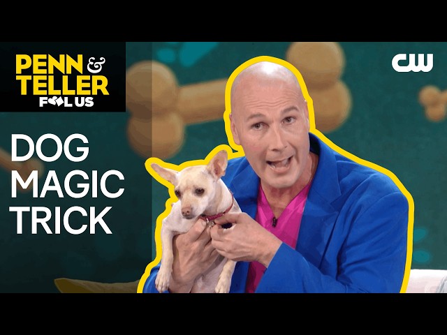 Magician Performs Dog Card Magic Trick | Penn & Teller: Fool Us | The CW