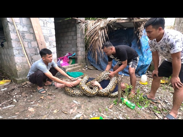 🔥 Giant Python Breaks Into Family Home and Attacks Man – Villagers Rush In for a Dramatic Rescue!