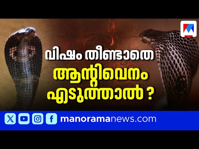 വിഷം തീണ്ടാതെ ഒരാള്‍ക്ക് ആന്റിവെനം നല്‍കിയാല്‍ എന്ത് സംഭവിക്കും ? |Anti venom|Snake bite
