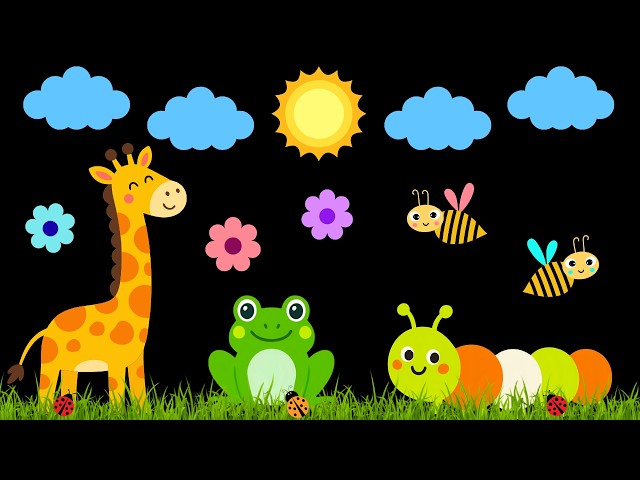 Baby Sensory Video – Newborn Visual Stimulation – Sensory Videos for Babies - Tummy Time #baby