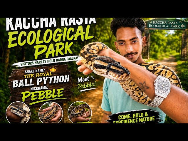 🔥 “Would You Dare to Hold This Snake? 🐍😱 | Kaccha Rasta Ecological Park#ecopark#wildlifeexperience