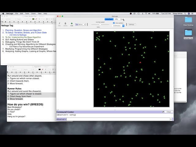 Netlogo Tag "To Go": Implementing the Base Algorithm