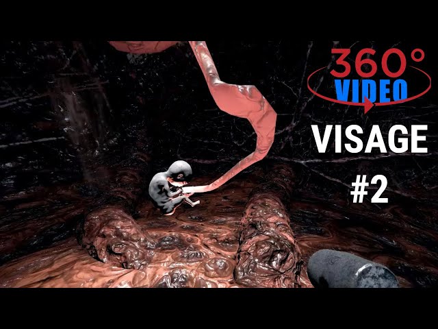 360° VR VIDEO - Visage #2