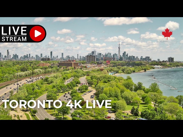 🔴 Toronto 4K LIVE Cam 🇨🇦 CN Tower & Lake Ontario | Chill Lofi 24/7 🍁