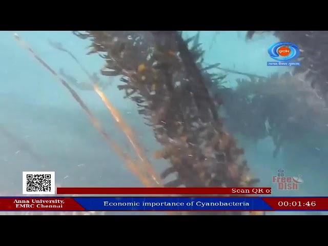 CH 06: DAKSH: Live Streaming