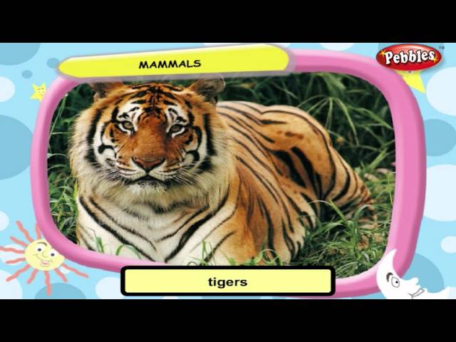 Science For Class 3 : Movement of Animals | Science Videos For Kids | Science Projects