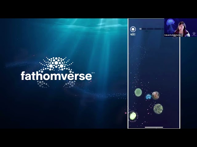 FathomVerse Update | FathomNet Workshop 2024