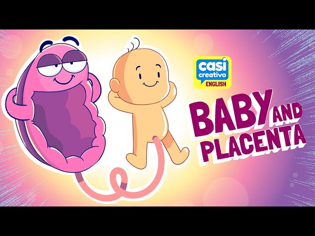 Baby and Placenta