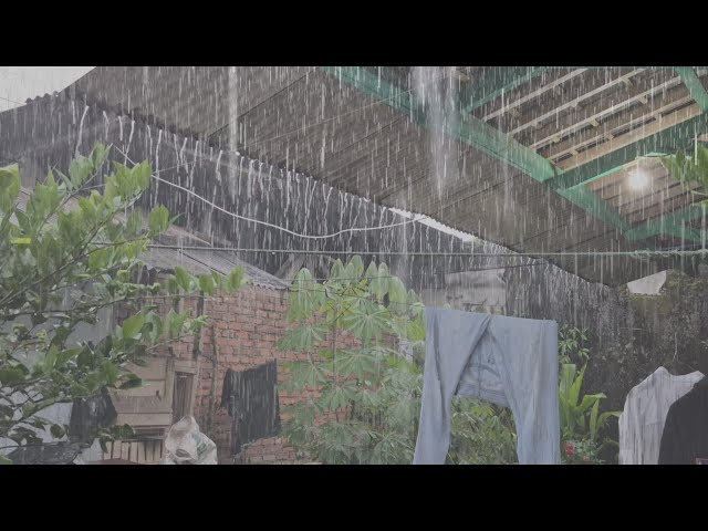 Heavy Rain for Deep Sleep 🌧️ Cozy Roof Rain Sounds at Night