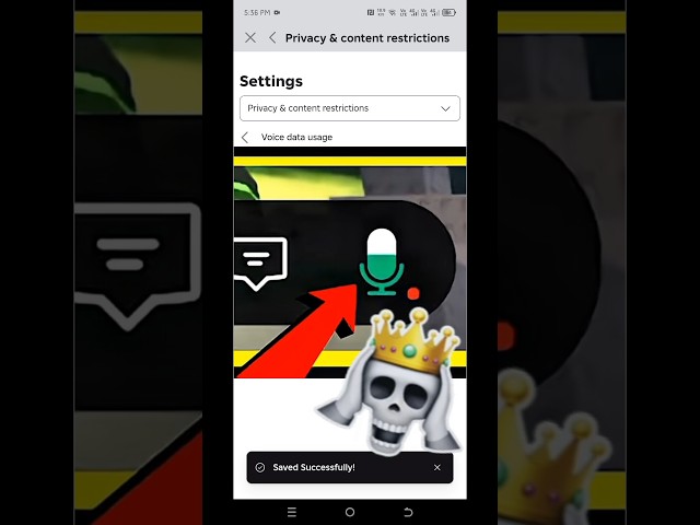 #roblox how to get voice chat