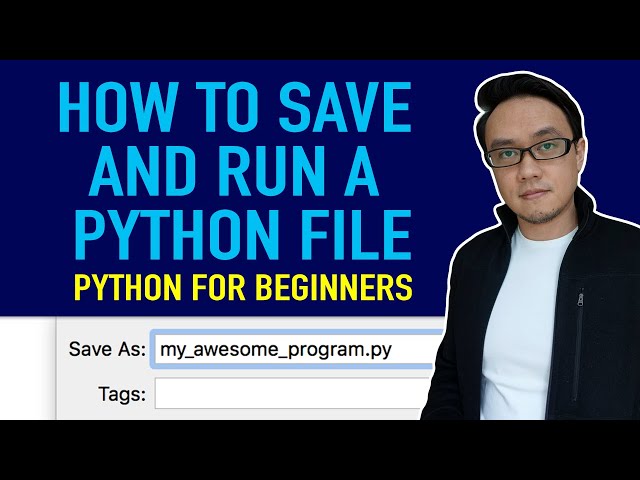 How to Save Your Python Code to a File and Run It as a Script | Python Tutorial for Beginners