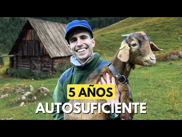 5 Years of Self-Sufficient Living in Nature: Daily Routine