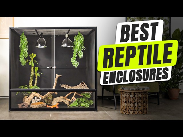 3 BEST Reptile Enclosure