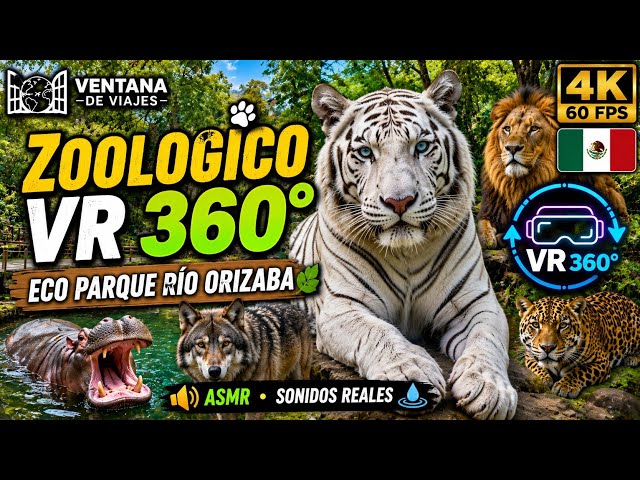 🦁 ZOOLÓGICO ECO PARQUE RÍO ORIZABA VR 360° 🐯 Recorrido Inmersivo ASMR en 4K | Veracruz México