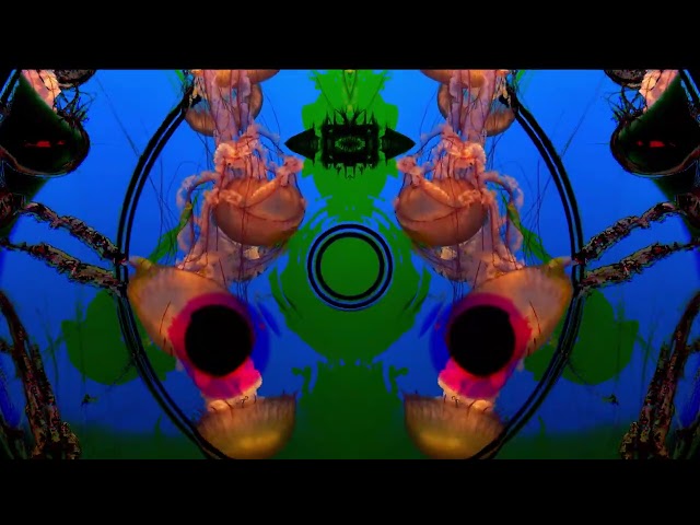 TD 1472 B05 by Boards of Canada