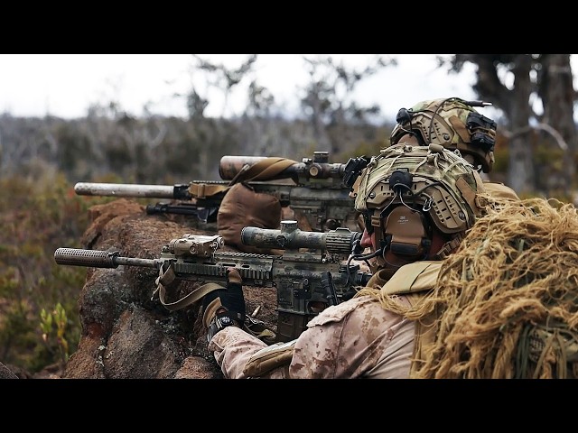 Marines estadounidenses realizan ataques con fuego real (febrero de 2026)