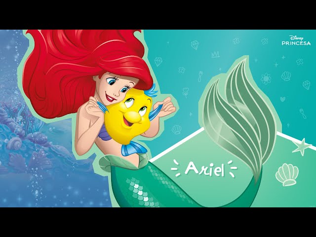 O mundo da Ariel | Disney Princesa