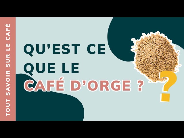 What is barley coffee?