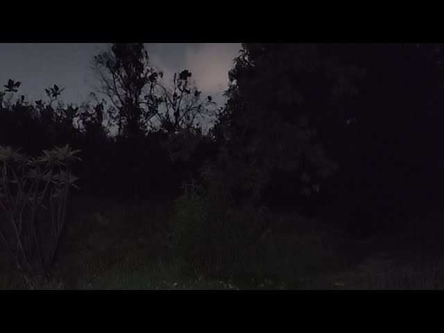 Exploración Paranormal