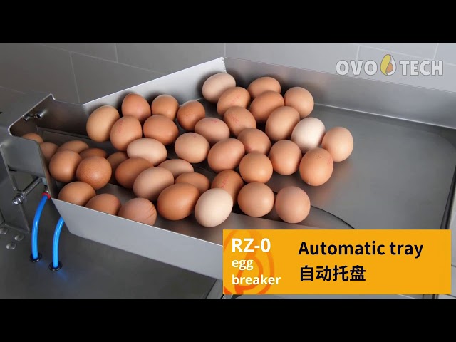 Inside Egg Factory [RZ-6 egg breaker with yolks and whites separation from OVO-TECH, Europe]