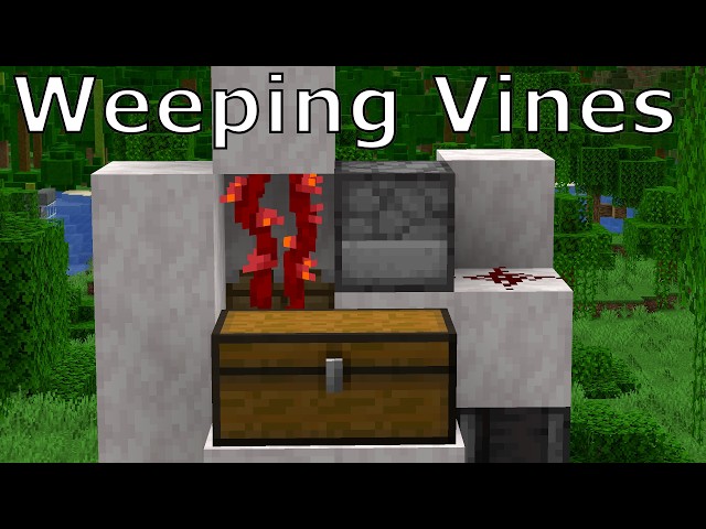 How to Automate Weeping Vines in Minecraft 1.21 (EASY!)