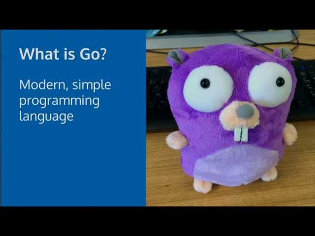 iOS Apps With Go (/dev/world/2015)