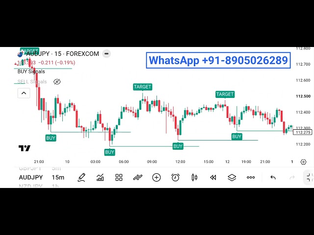 AI Predictive Flow Indicator | Predict Market Direction with AI Indicator