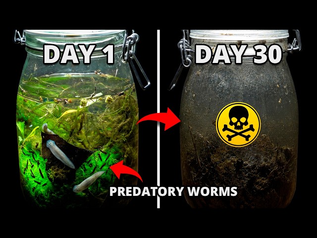 I Put Creek Water in a Jar... 1 Month Later It COLLAPSED!