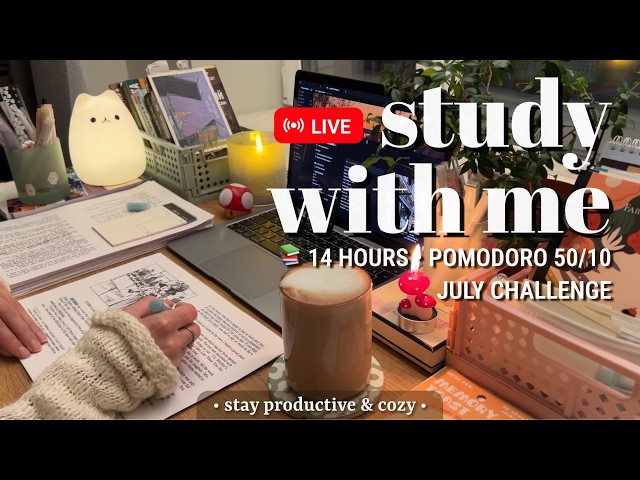 Challenge • 14 HR • STUDY WITH ME | Pomodoro 50/10 Fireplace Sound for Best Focus