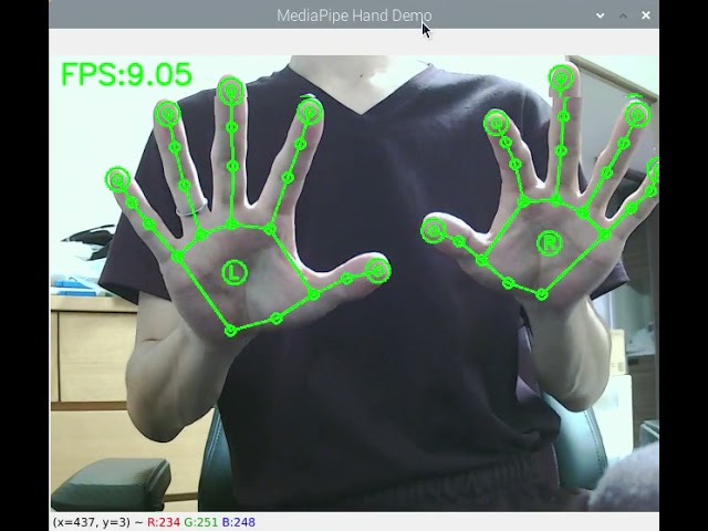 RaspberryPi4 CPU only + RaspberryPi OS 64bit + Python3.7 + MediaPipe Hand Detection, 9 FPS