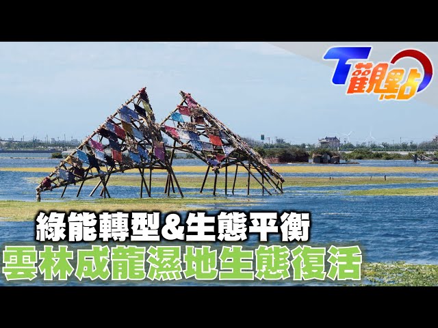 邁向綠能轉型與生態平衡 雲林成龍濕地生態大復活 走過天災與土地和解 T觀點 20220820 (1/4)