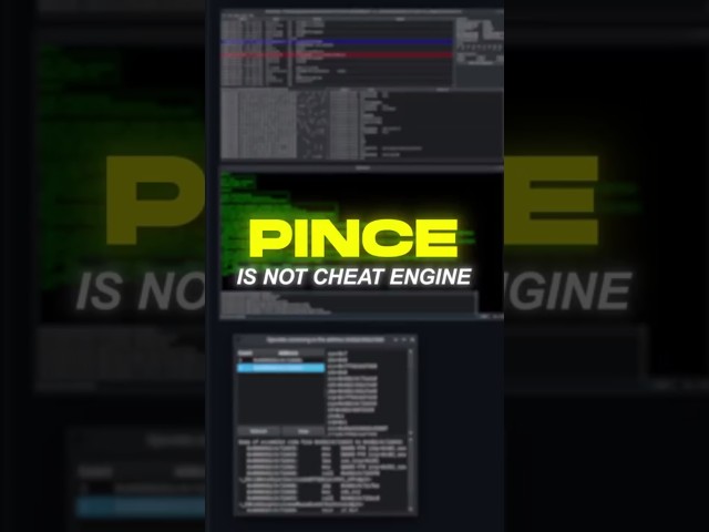 PINCE = Cheat Engine For LINUX?