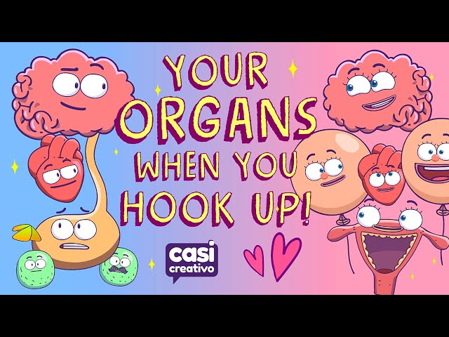 Your Organs When You Hook Up