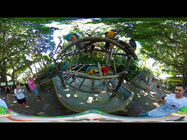 360° Video - Cartagena, Colombia - Parrot Sanctuary