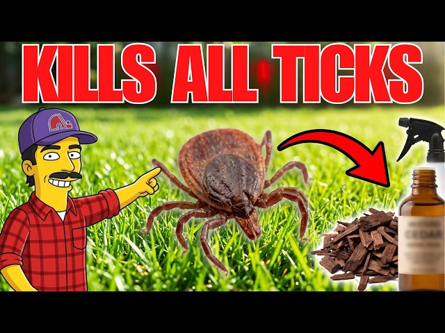 Kill Every TICK In Your Yard — SAFE For Pets & Kids!
