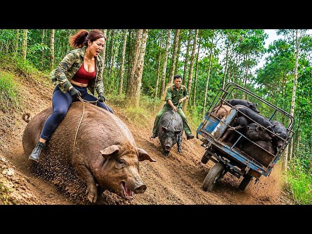 72 Hours Survival: Catching a Giant Wild Boar – Then a Giant Python Striked Our Chicken Farm!