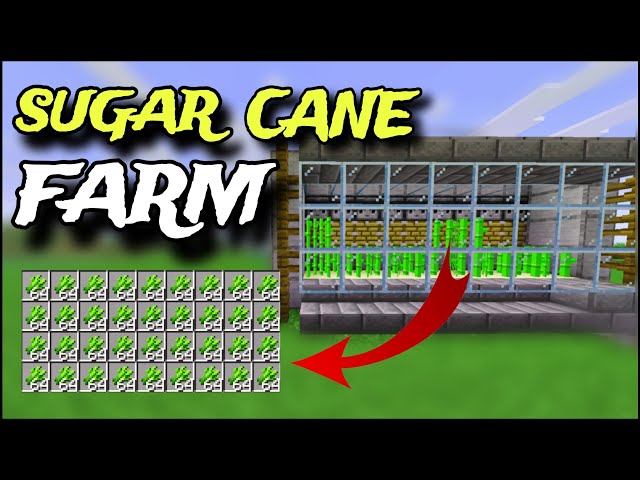 Easiest Sugarcane Farm 1.26+ Automatic Bedrock/Java