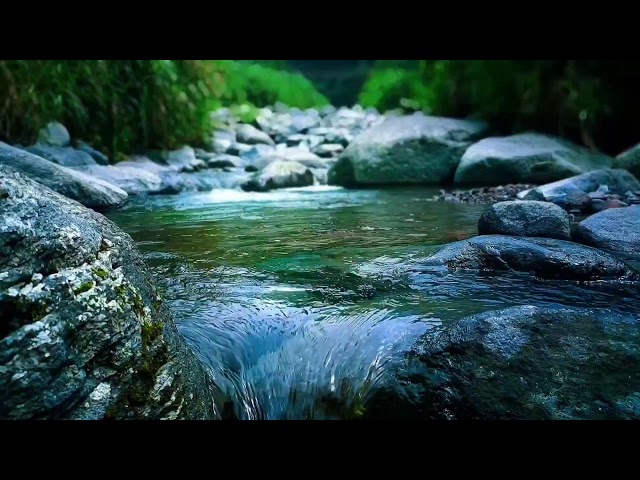Forest River Sounds for Sleep and Relaxation – Perfect for Night Time Stress Relief